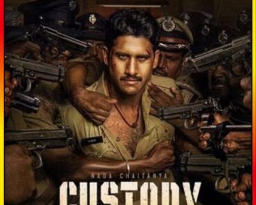 Custody (2023) Dual Audio {Hindi ORG. + Telugu} Full Movie 480p [480MB] | 720p [1.3GB] | 1080p [2.8GB] WEB-DL