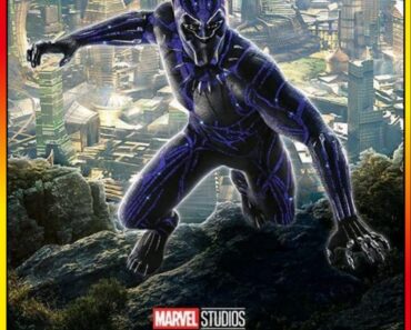 Download Black Panther (2018) IMAX BluRay Dual Audio {Hindi-English} 480p [400MB] | 720p [1.2GB] | 1080p [3GB]