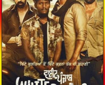 Download White Punjab (2023) Punjabi WEB-DL Full Movie 480p [650MB] | 720p [1.4GB] | 1080p [2.6GB]